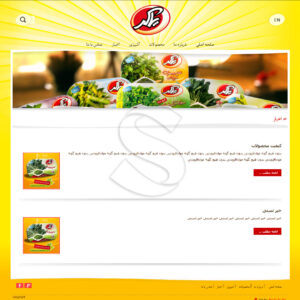 طراحی سایت شرکت تولیدی و بازرگانی ایران فرید
